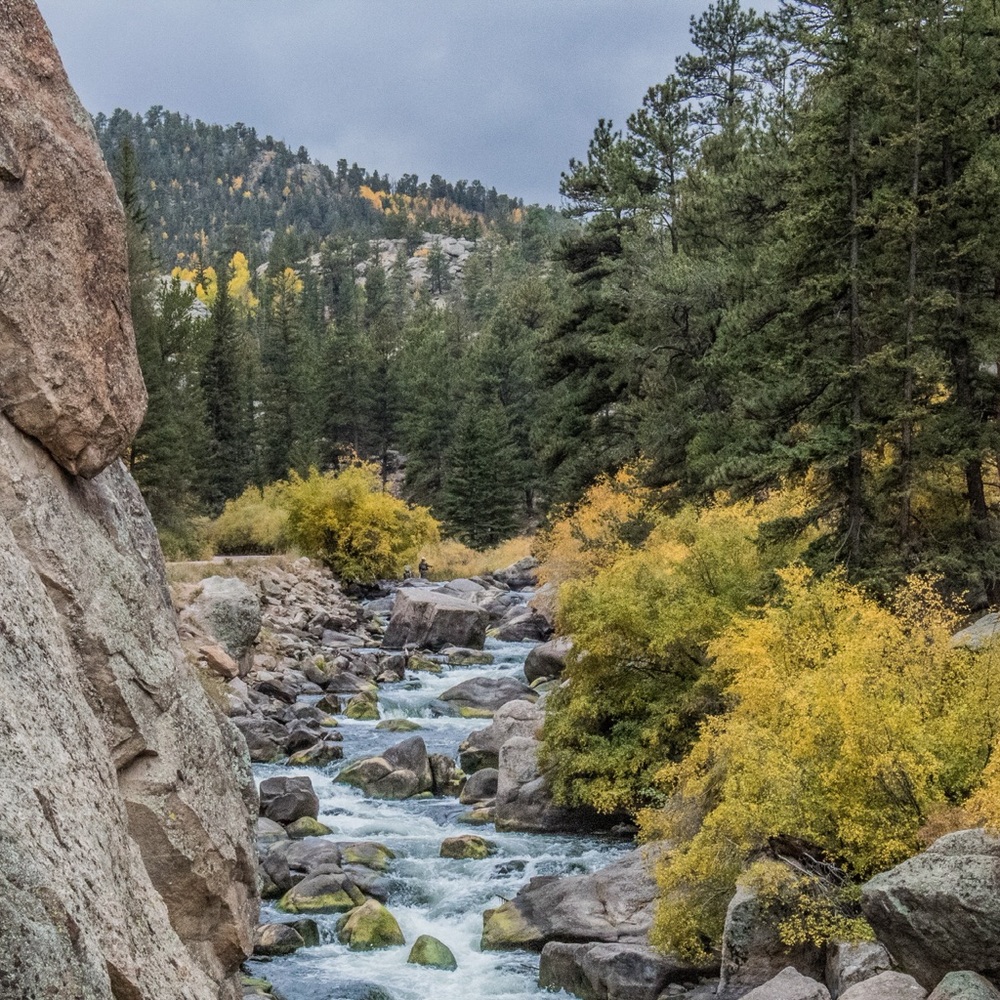 Meet your Posher, Peaches